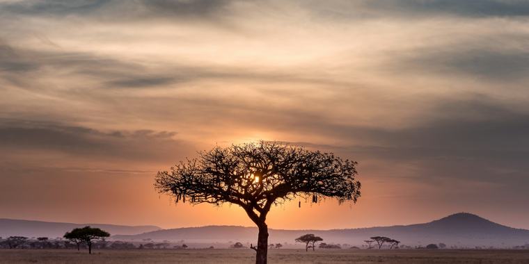 Scientific ecotourism